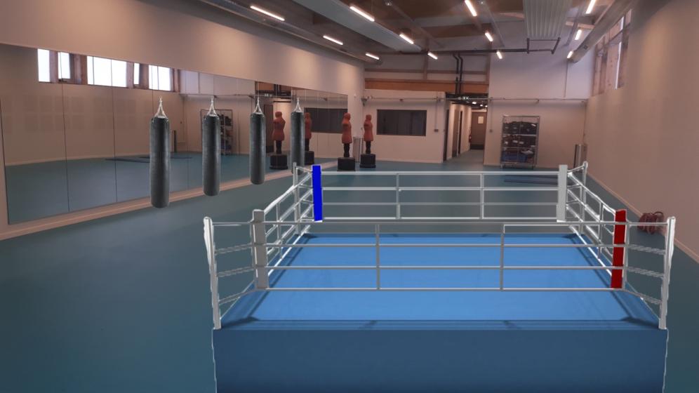 salle-de-boxe-Gymnase-Ladoumegue