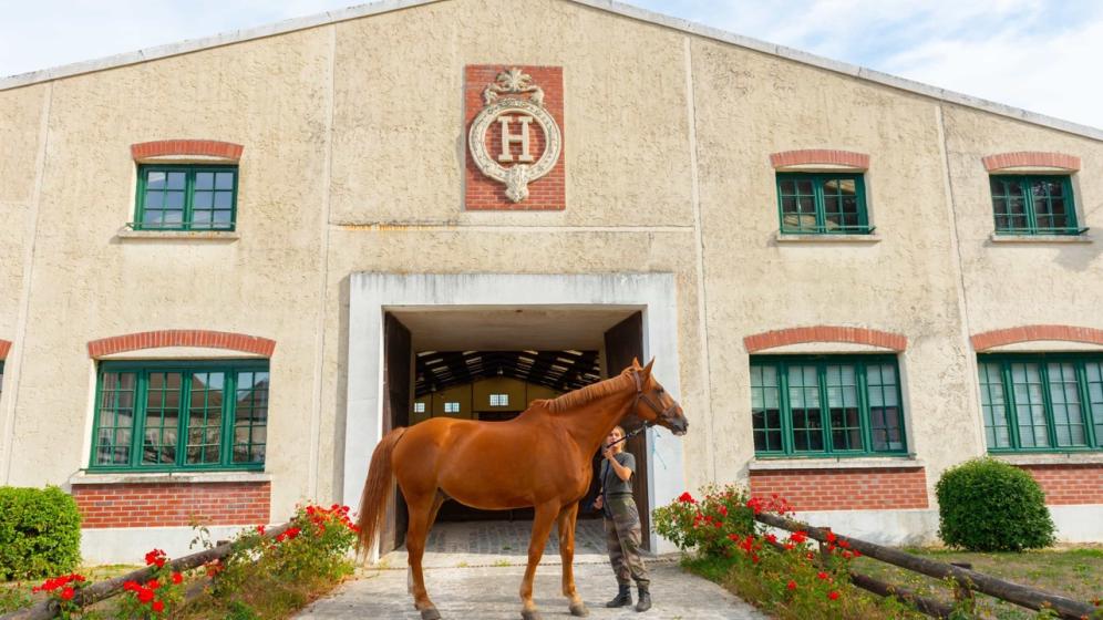 00-2018_039_Les-Breviaires_Haras-National_X.Renoux