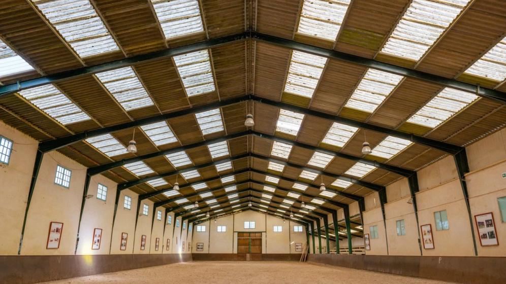 02-2018_032_Les-Breviaires_Haras-National_X.Renoux