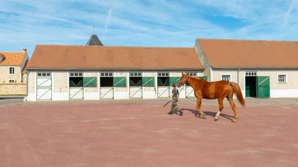 03-2018_036_Les-Breviaires_Haras-National_X.Renoux