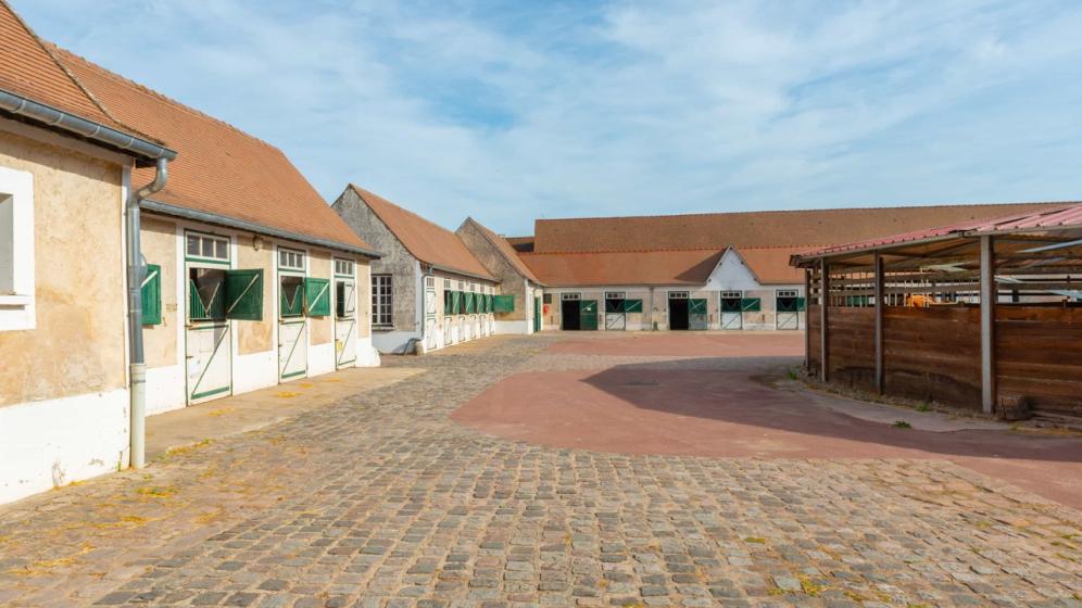 04-2018_037_Les-Breviaires_Haras-National_X.Renoux