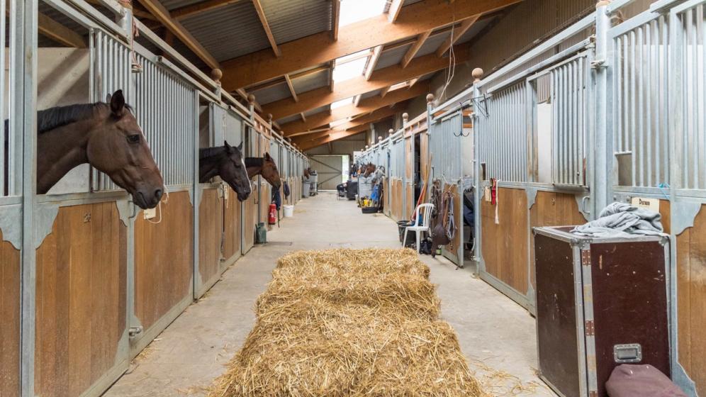 12-Macon_Centre-Equestre-de-Macon-Chaintre_ecurie