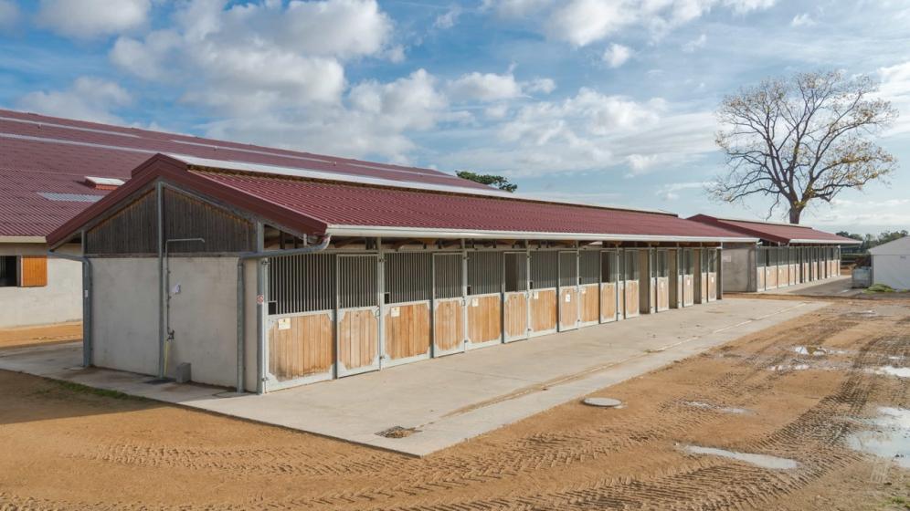 13-Macon_Centre-Equestre-de-Macon-Chaintre_boxes-exterieurs