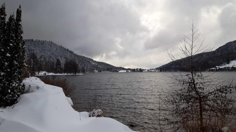 20190130_154620