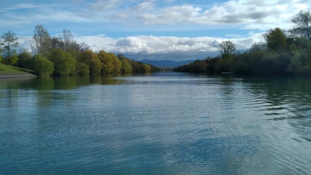 3-Rowing-club-Mulhouse-Vue-du-bassin
