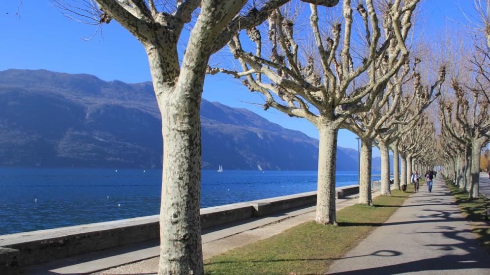 Aix-les-Bains-Promenade-Lac