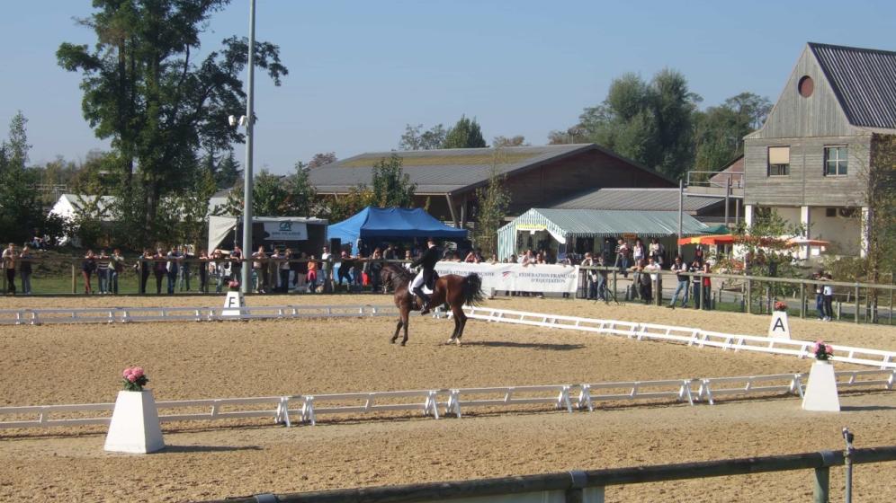 concours_equestre