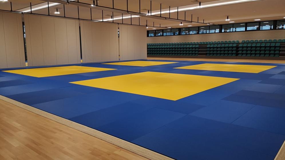 Dojo-IMG_20201210_090424