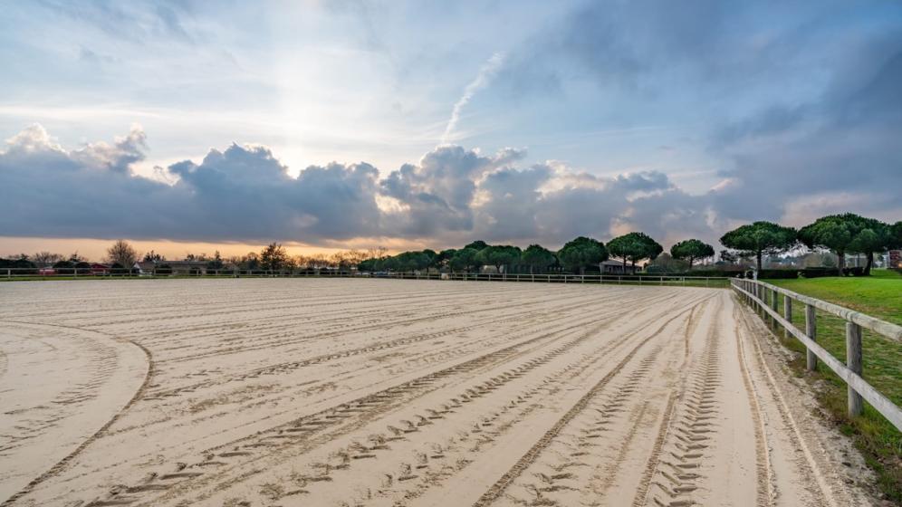 grand-manege