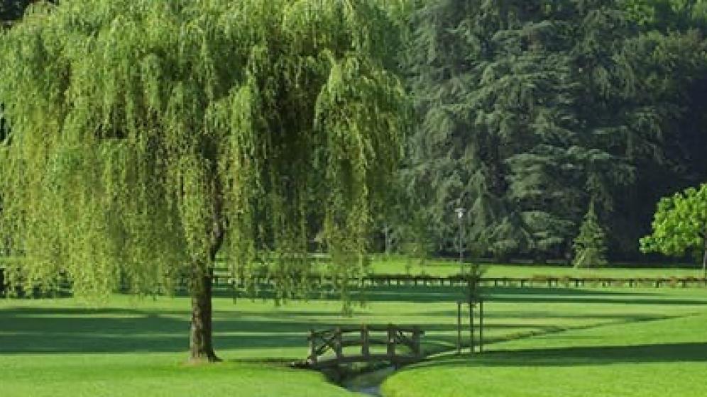 Parc-Uriage