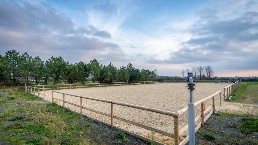 petit-manege