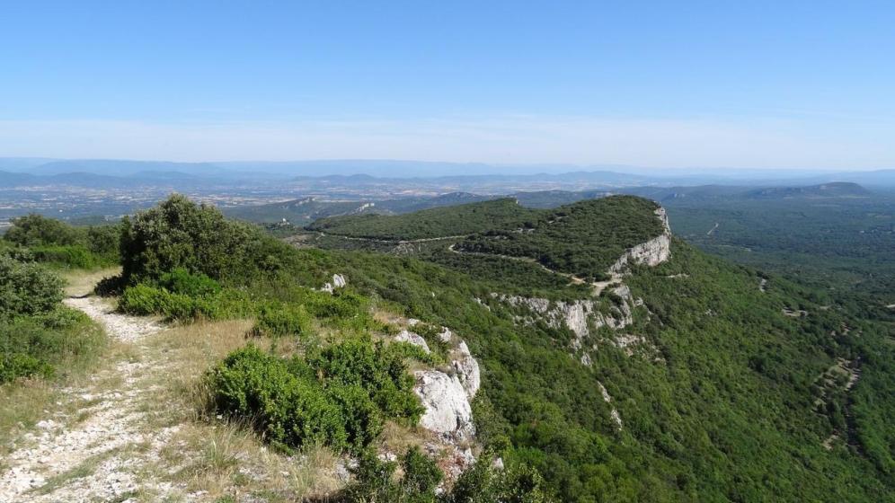 mont-bouquet