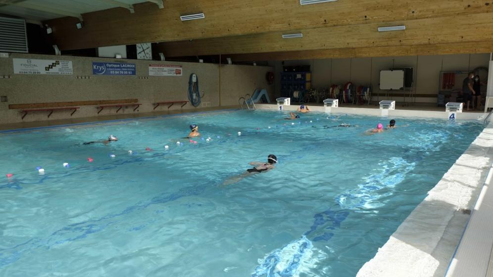 Piscine-Canetons-1