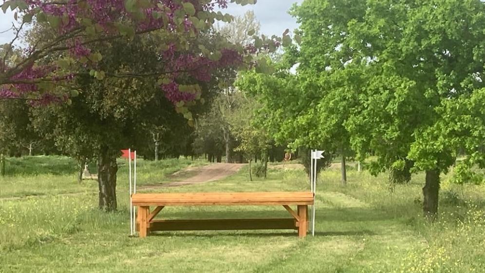 Cross-2