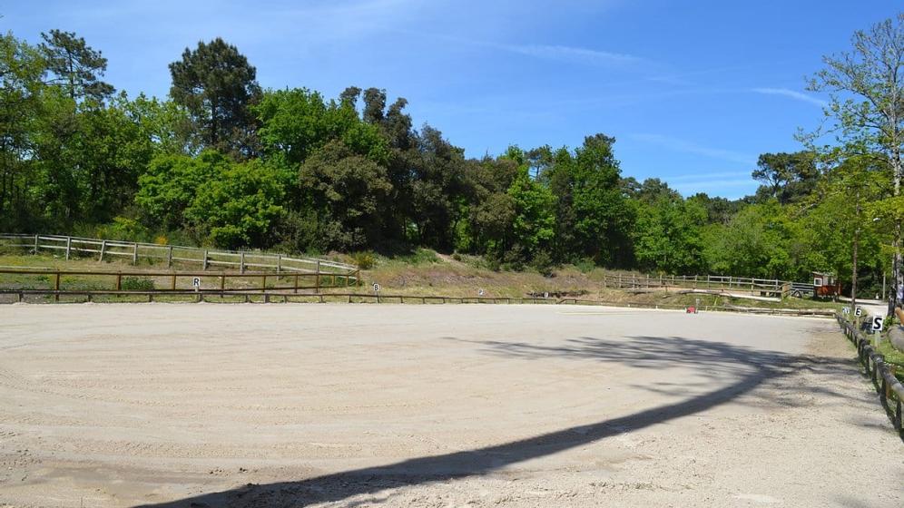carriere-dressage