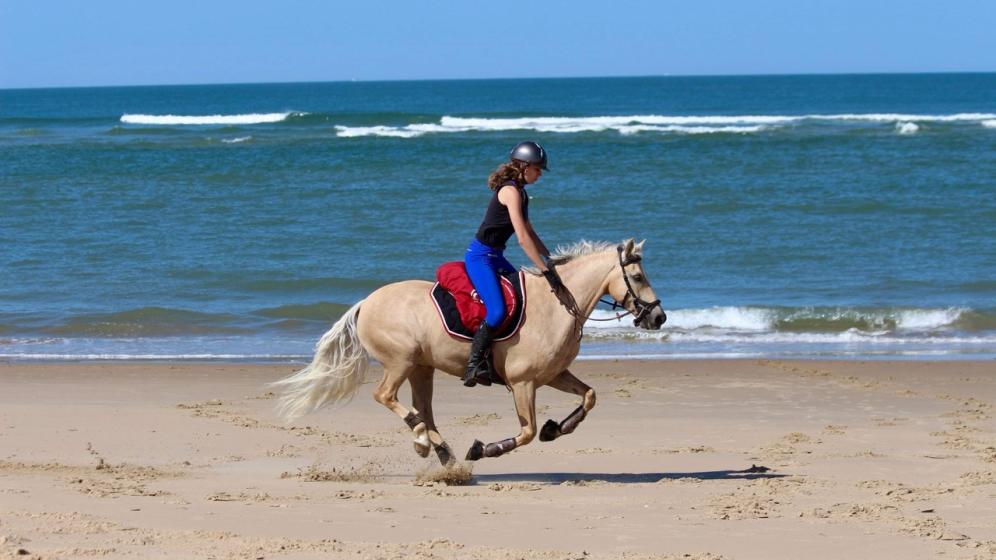 plage