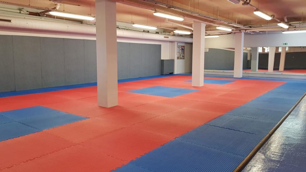 TAEKWONDO