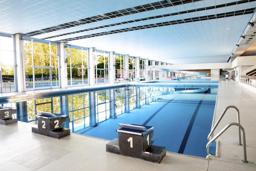 Piscine-PArvis-Bassin-interieur-1