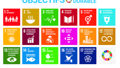 Les objectifs de développement durable