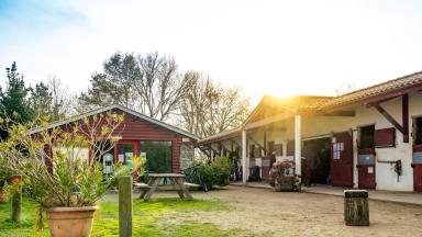 ecole-equitation