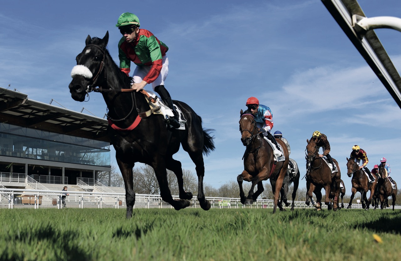 4.1-galop