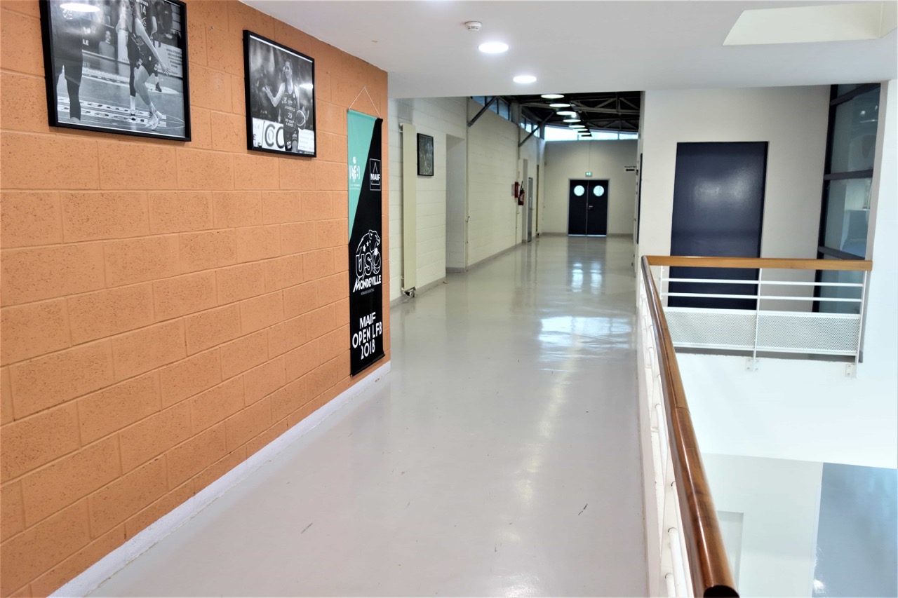 Halle-2