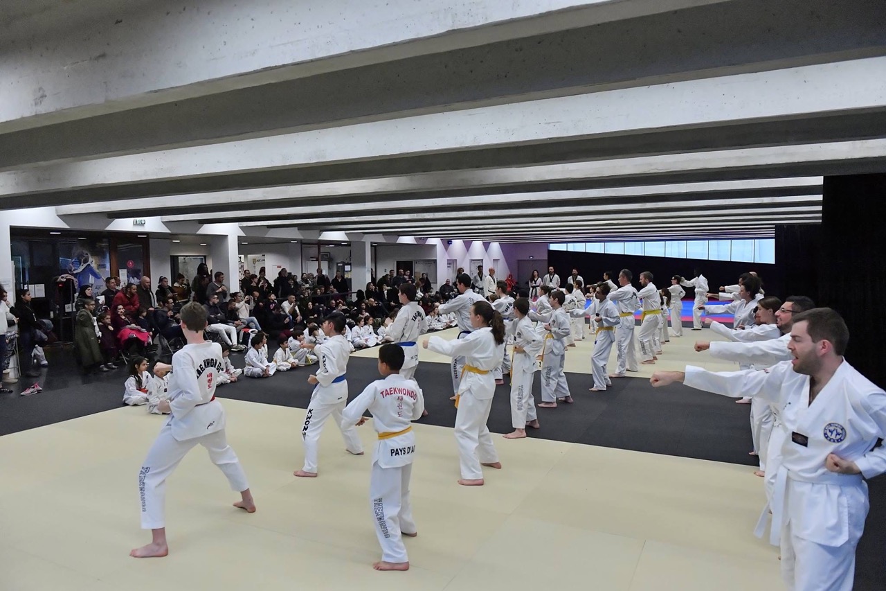surface-taekwondo