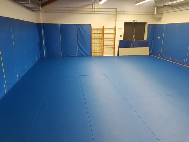 EMS-Vue-salle-tapis