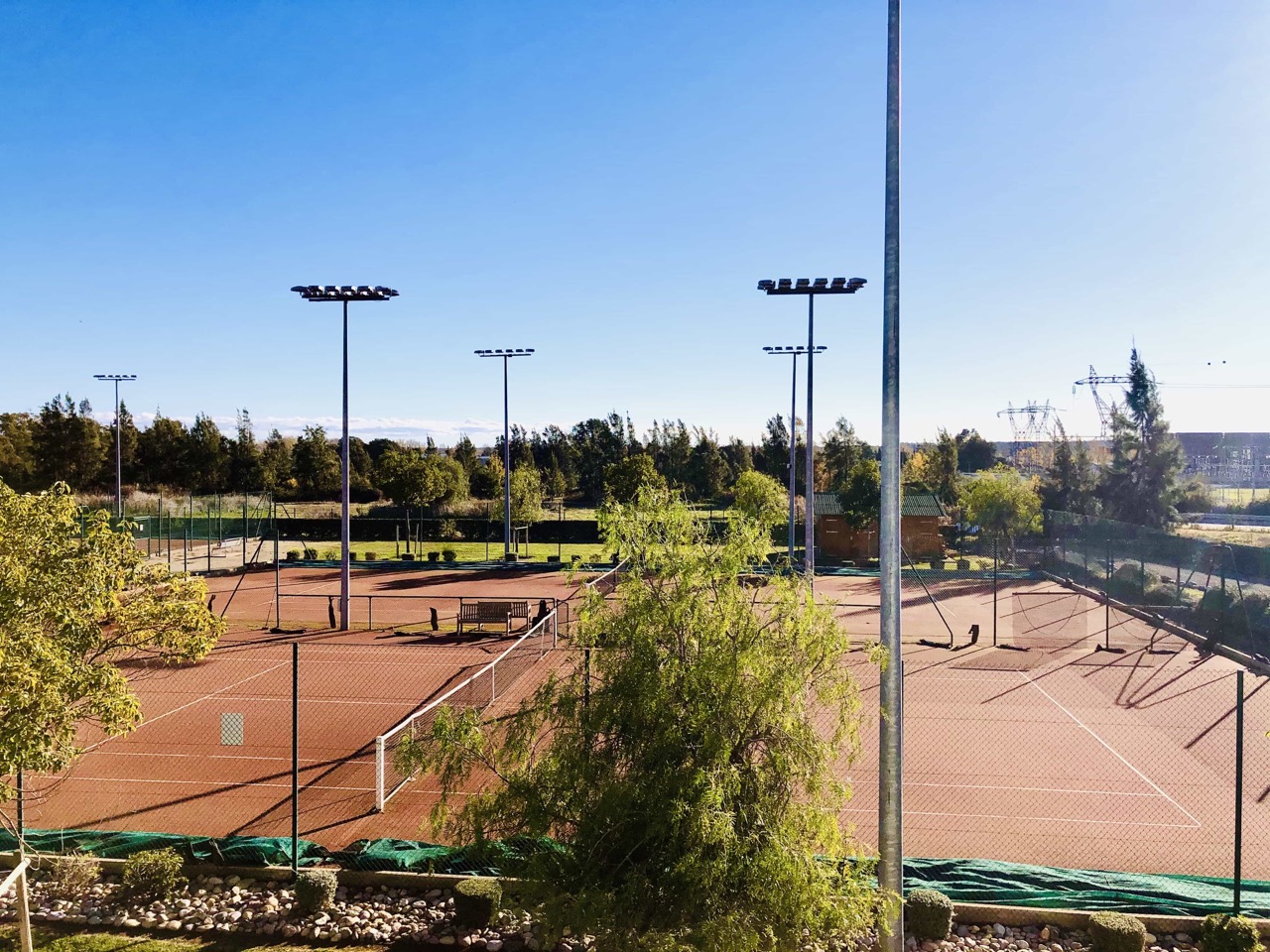 Tennis-6