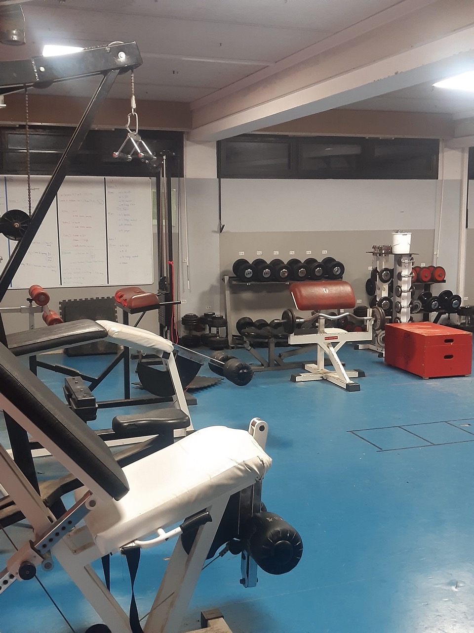 3-salle-de-musculation-PH