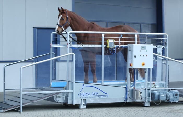 horse-gym-2000-tapis-de-marche