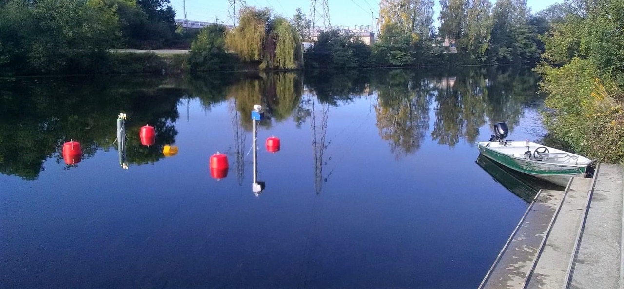 IMG-20210121-WA0005