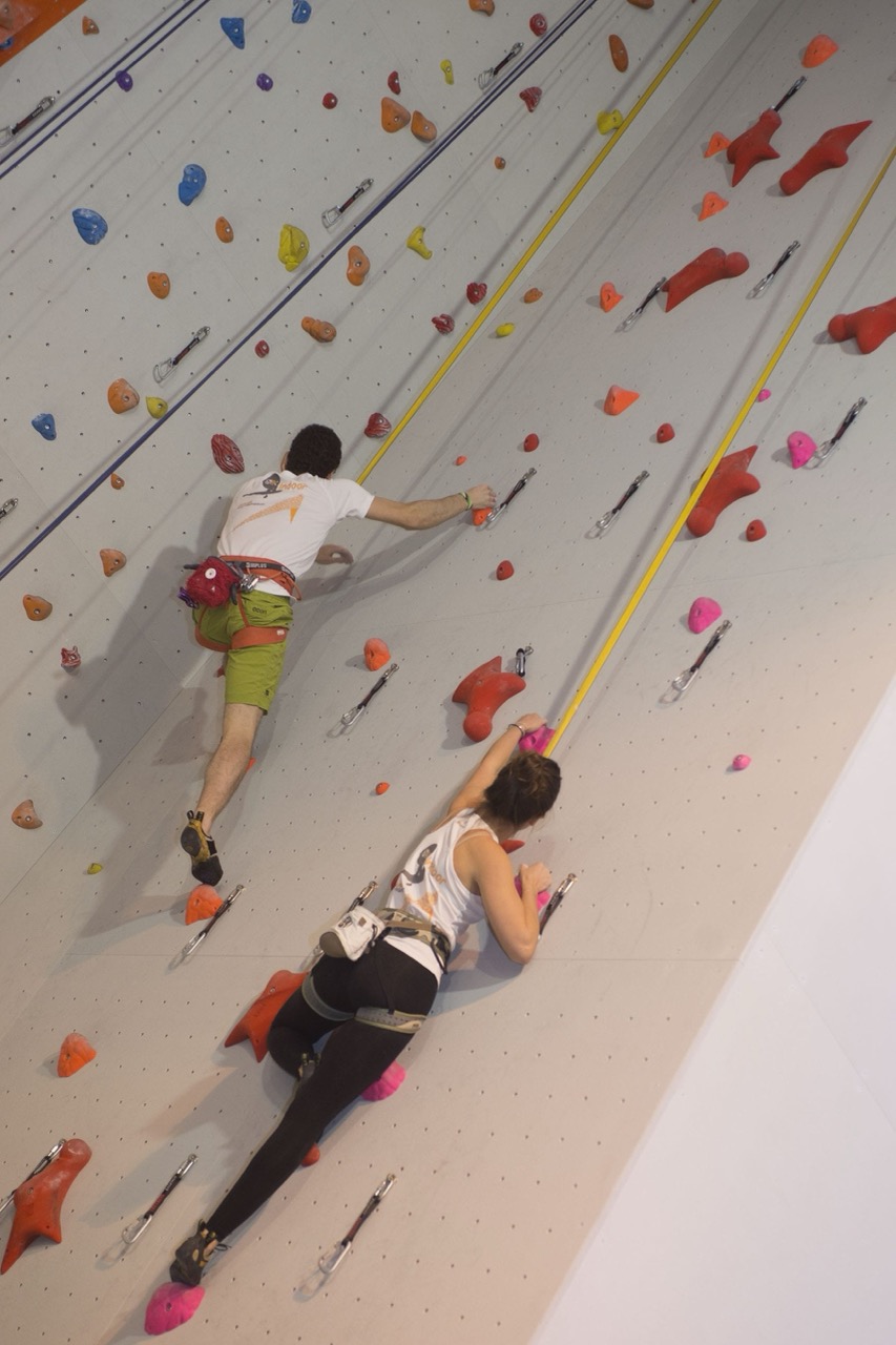 Mur_escalade_Vert-Bois2