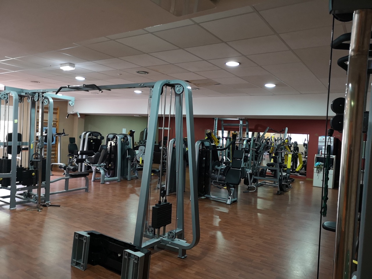 muscu1