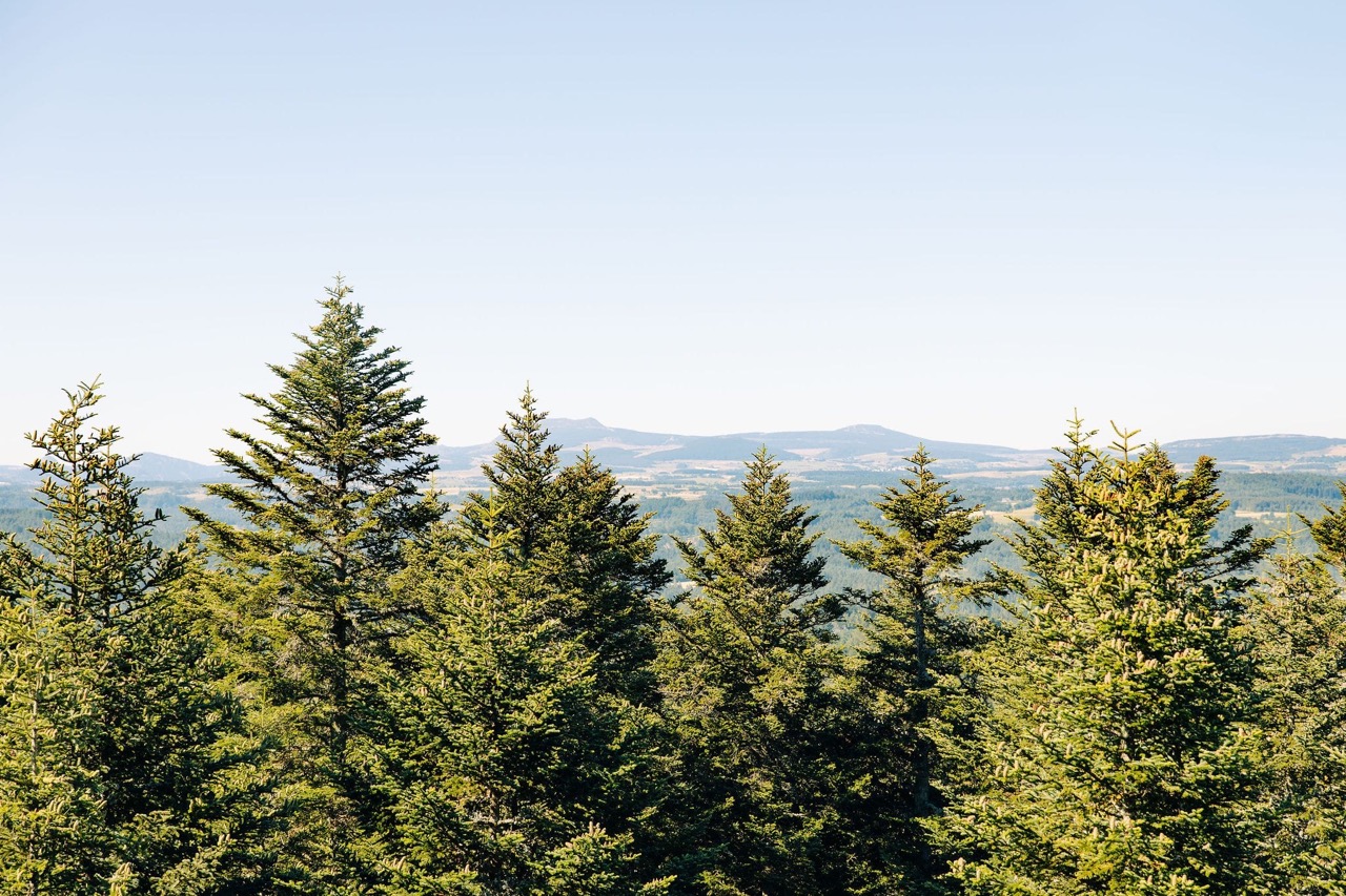 Panorama-Copyright-Naturofilm