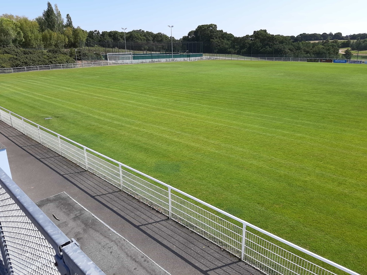 Terrain-en-herbe-vue-haute