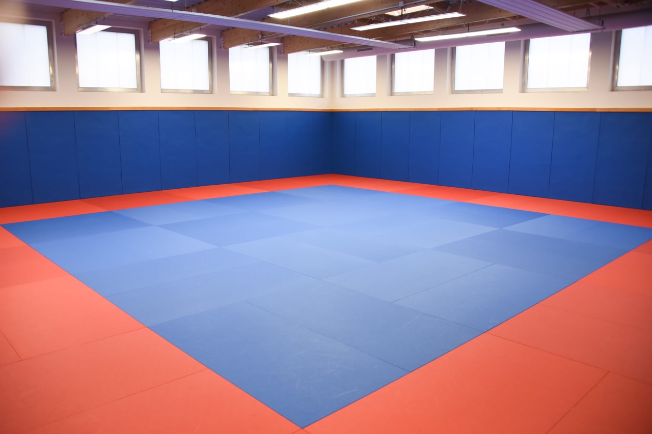 Vue-du-dojo