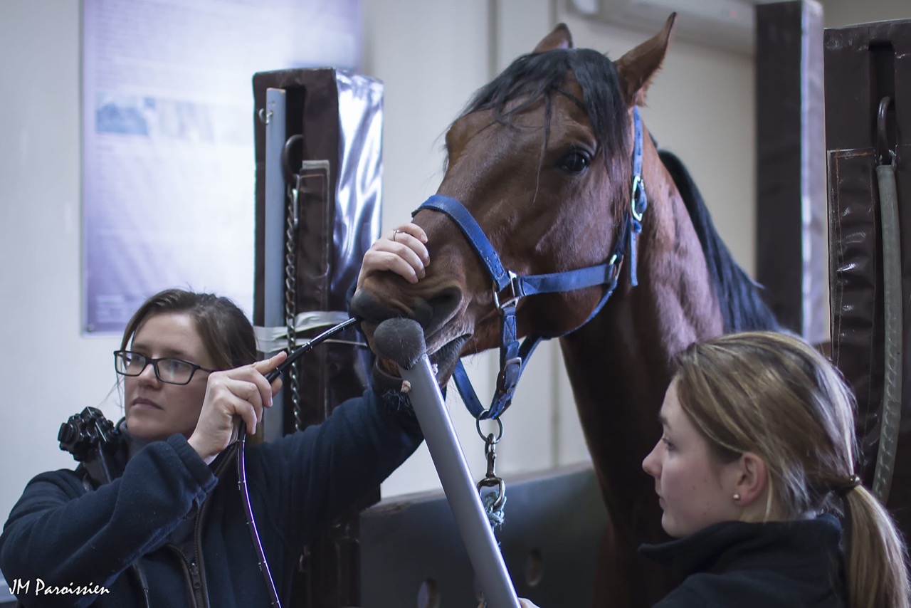 11-Cabinet-medical-prive