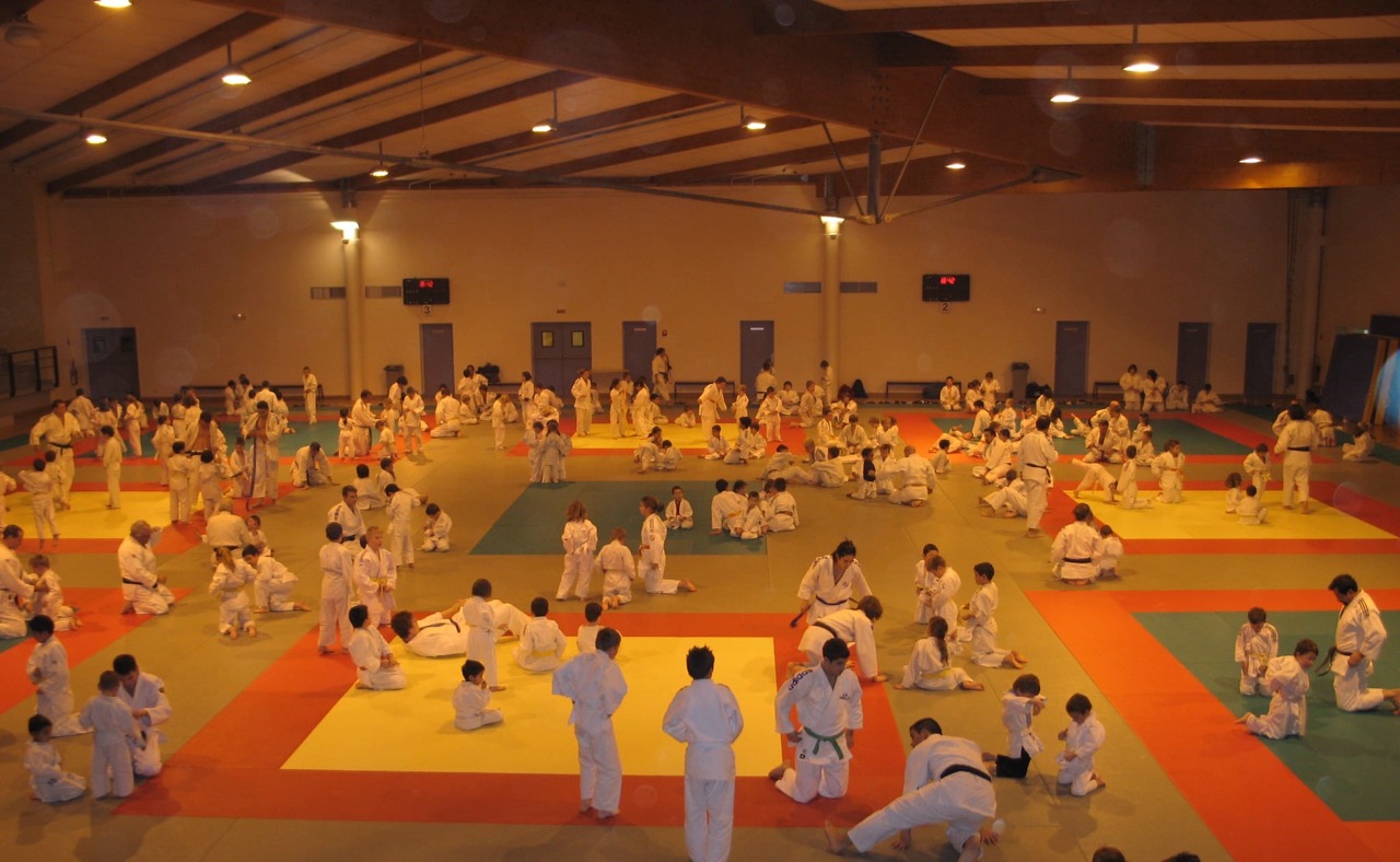 Dojo-Amilly-9