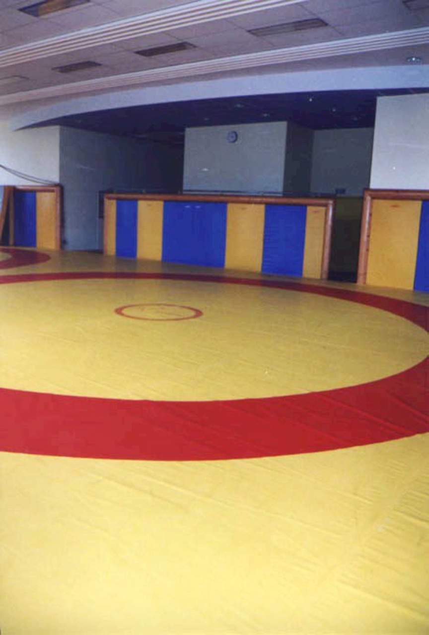 Salle-de-lutte-5