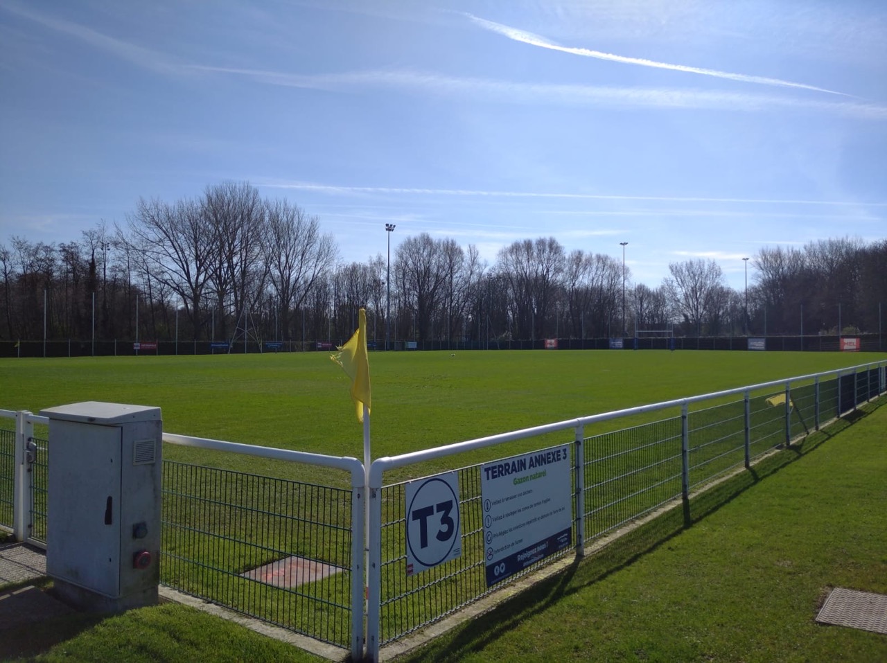 Stadium-Terrain-Annexe-3-Herbe