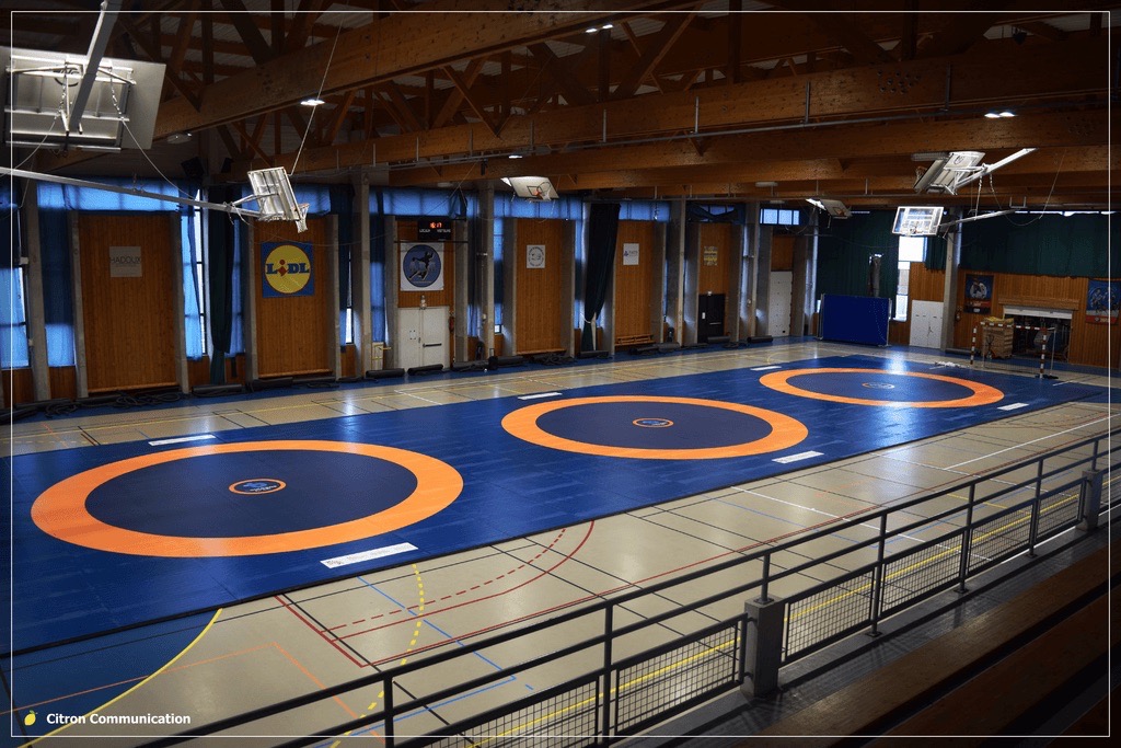 TAPIS-3png