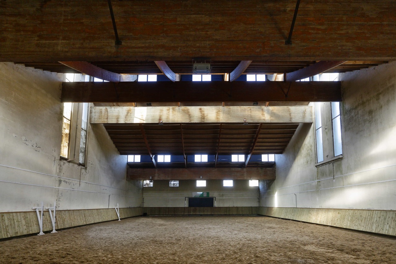 14-Manege®BERTRANDBECHARD_16