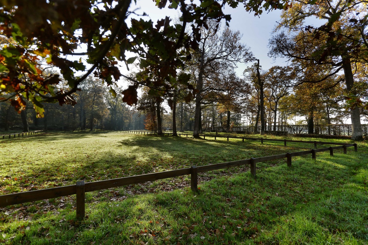 6-Carriere-Herbe-®BERTRANDBECHARD_10