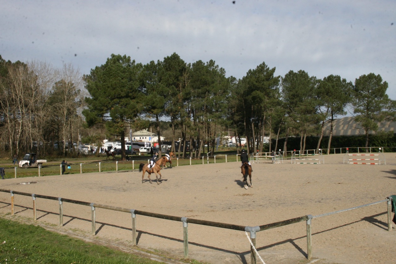 6-DRES1