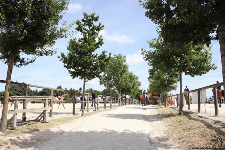 ALLEE-CAVALIERE-N.2014-Small