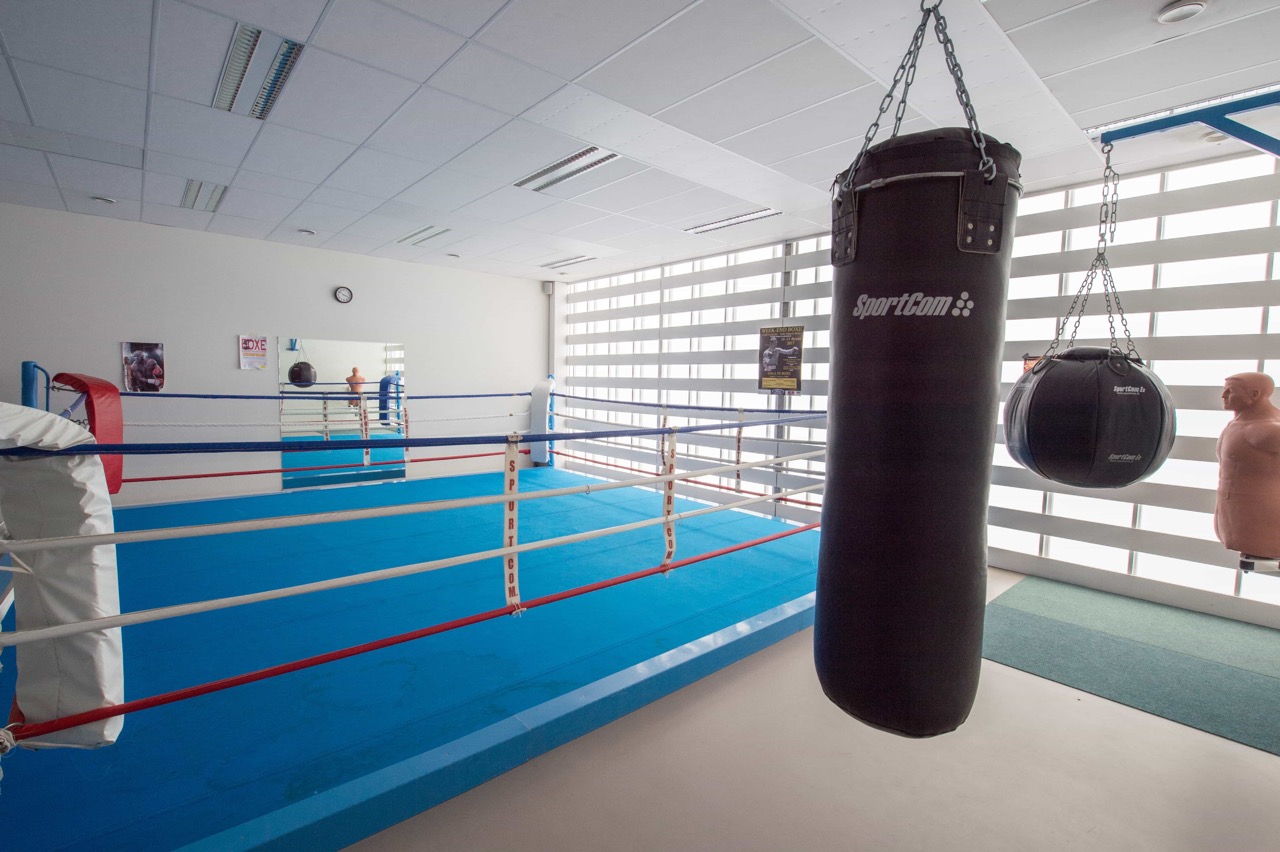 Cite-Boxe