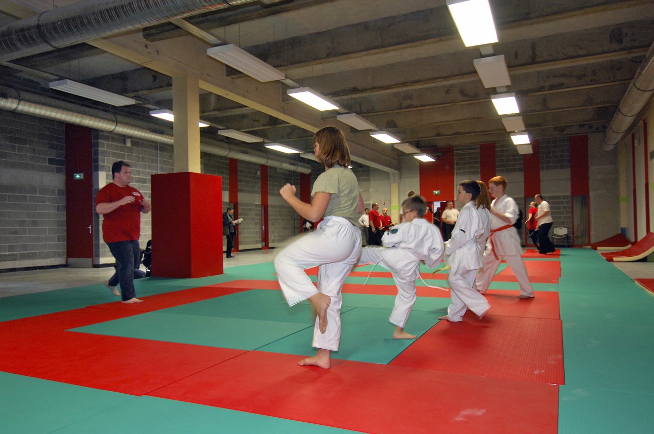 Complexe-Sportif-de-lAtelier-Dojo