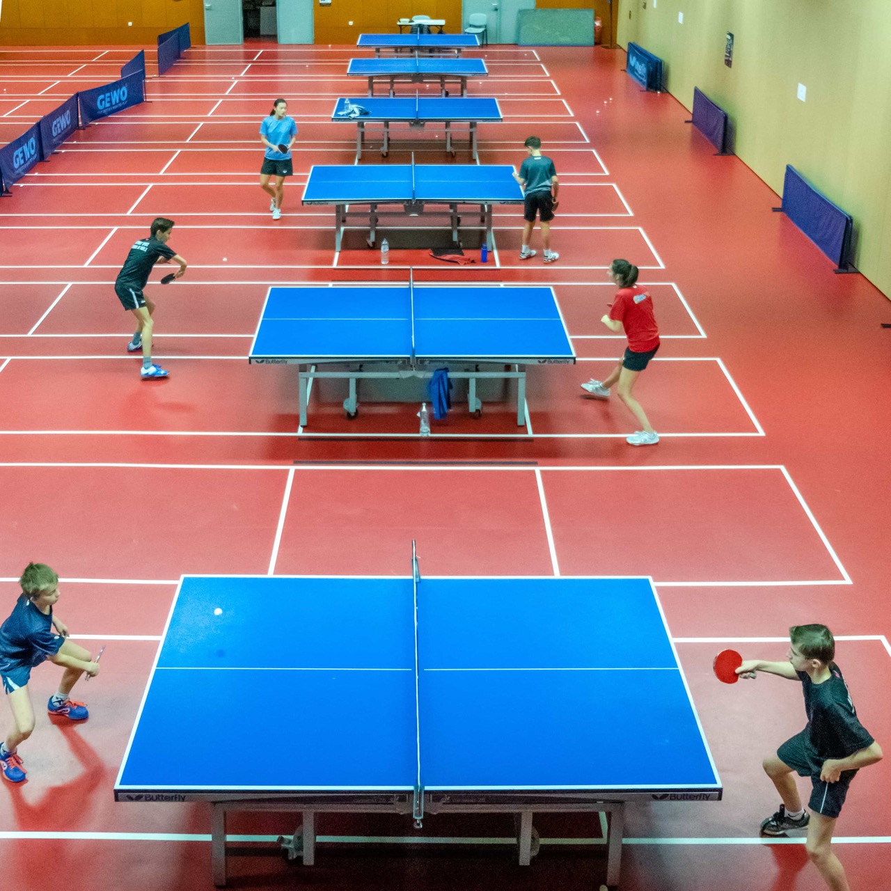 Complexe-Sportif-Eric-TABARLY-_-Salle-de-tennis-de-table-1