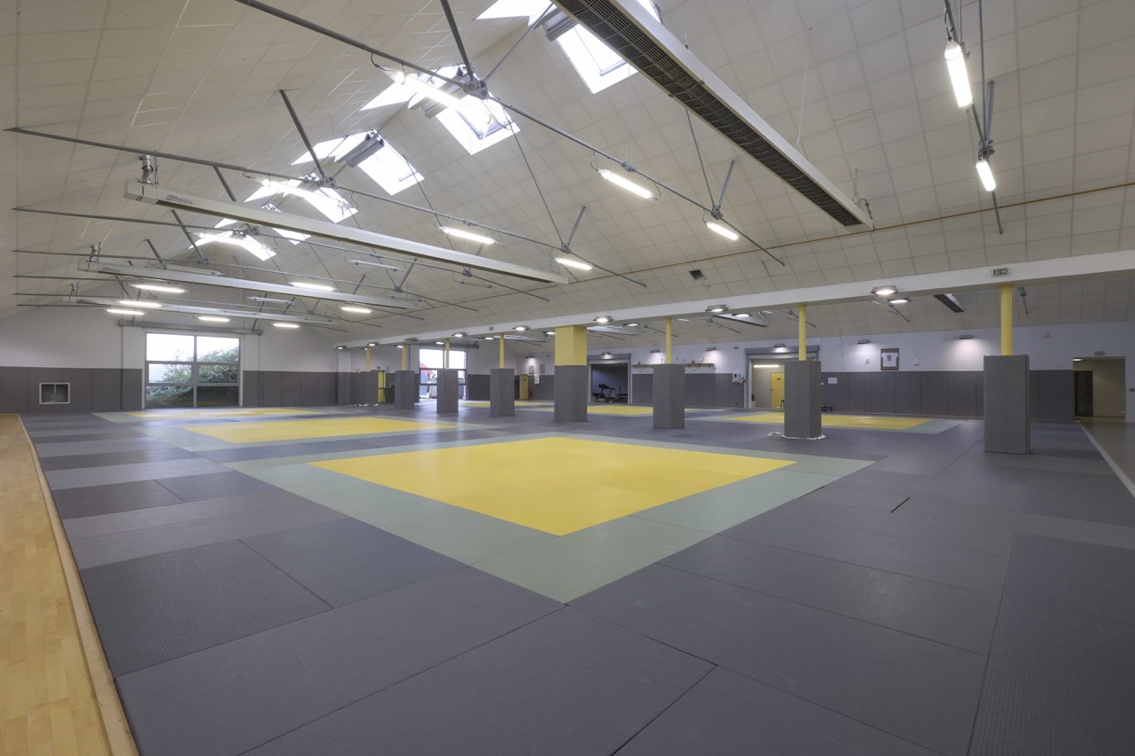 DOJO-4